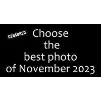 We are choosing the best work for November 2023_1-BFkLSFPM.png